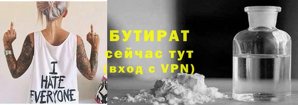 шишки Осташков