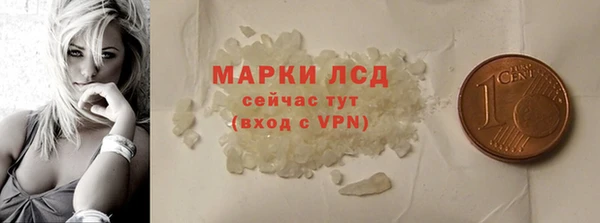 шишки Осташков