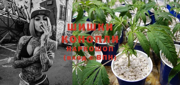 шишки Осташков