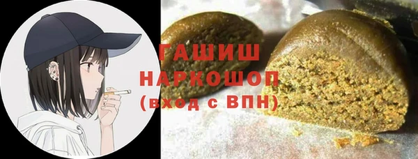 шишки Осташков