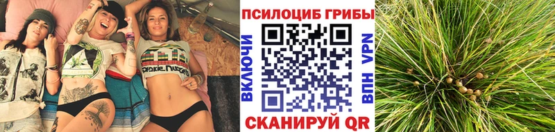 OMG ONION  Урень  Псилоцибиновые грибы прущие грибы 